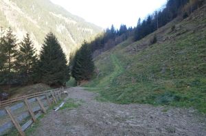 k-Weide bei Schneeberger